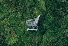 Green commerce. Jak e-sklepy mogą stać się bardziej ekologiczne?